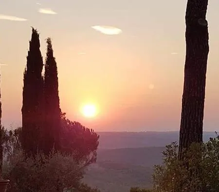 Claro The Window On The Chianti Chiocchio